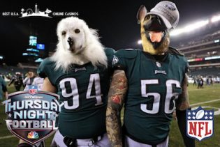 Philadelphia Eagles Dog Masks TNF