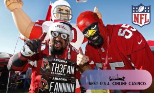 Arizona Cardinals Fans Face Paint