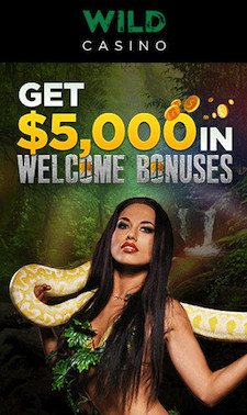 Wild Casino Welcome Bonus