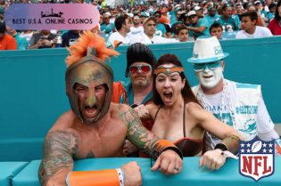 Miami Dolphins Fans Celebrate