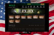 Wild Casino USA Blackjack Variants