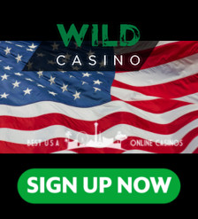 Wild Casino Sign Up Banner