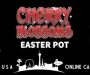 Cherry Blossoms Easter Tournament at Miami Club Casino