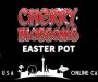 Cherry Blossoms Easter Tournament at Miami Club Casino