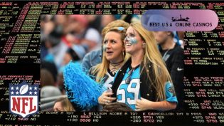 NFL 2019 Underdogs at Offshore Sportsbooks for Week 12