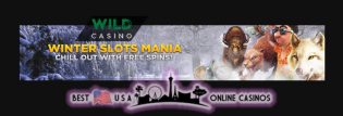Wild USA Casino Winter Slots Mania