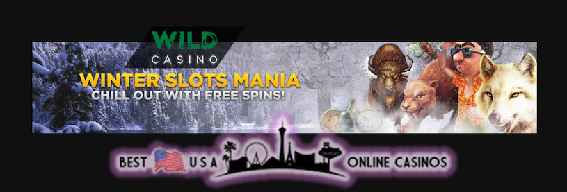 Wild USA Casino Winter Slots Mania